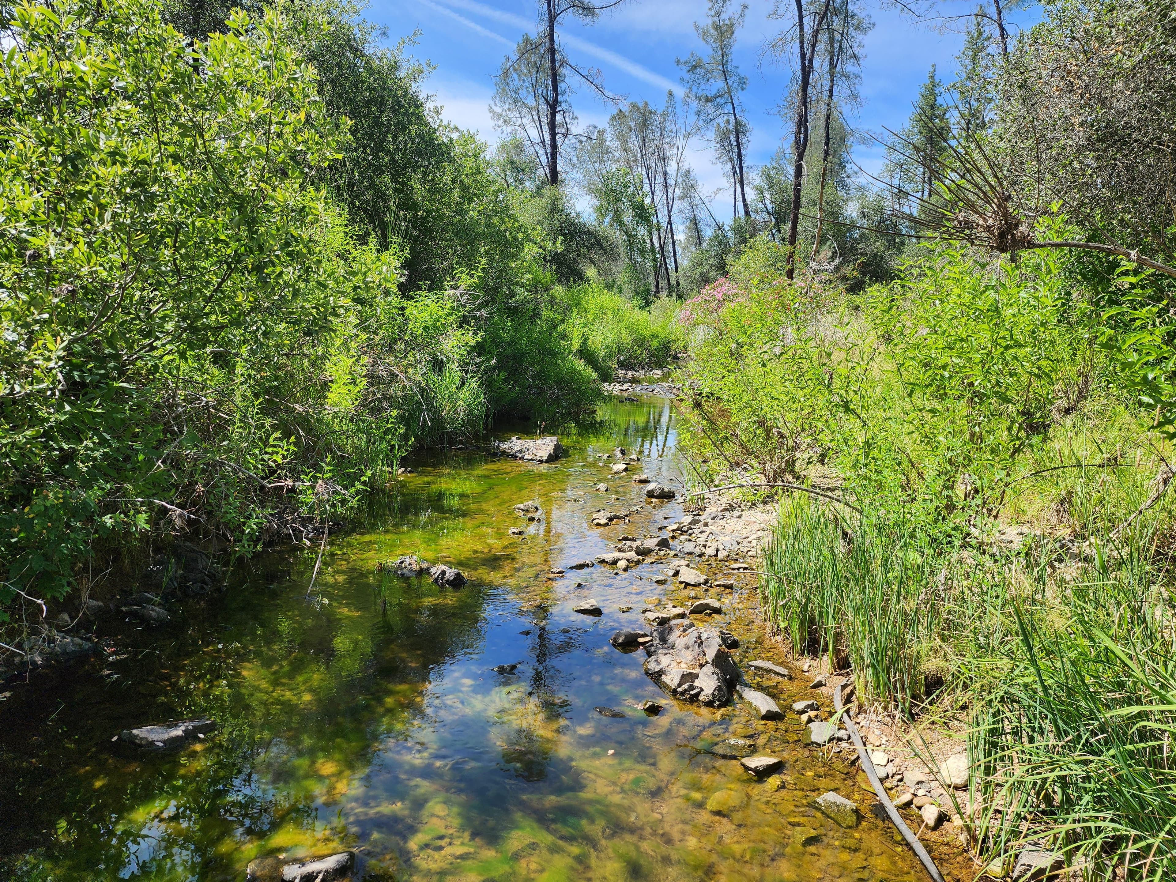Churn Creek Placer — Placer gold mining claim for sale in Shasta, CA thumbnail 2