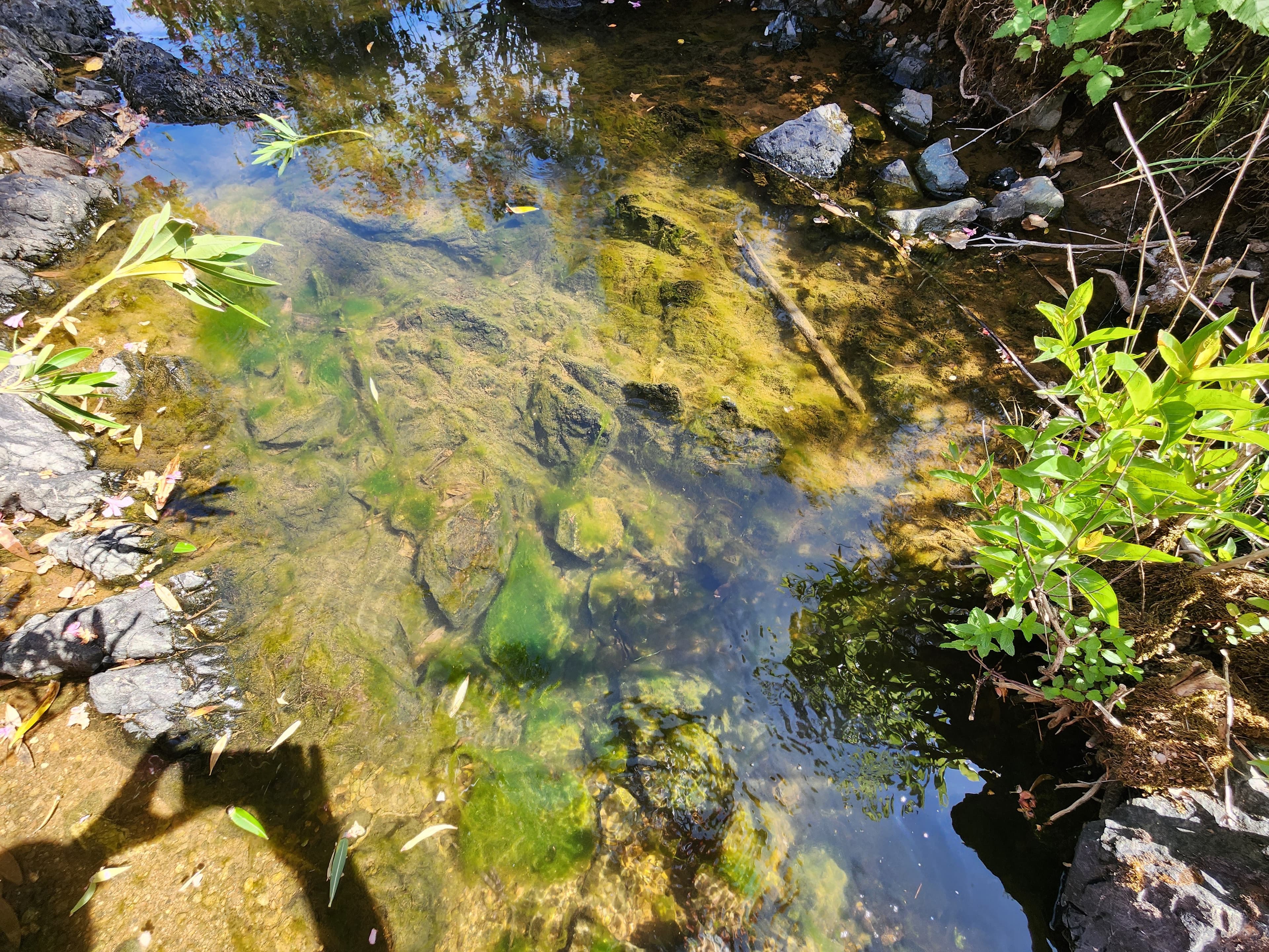 Churn Creek Placer — Placer gold mining claim for sale in Shasta, CA thumbnail 3