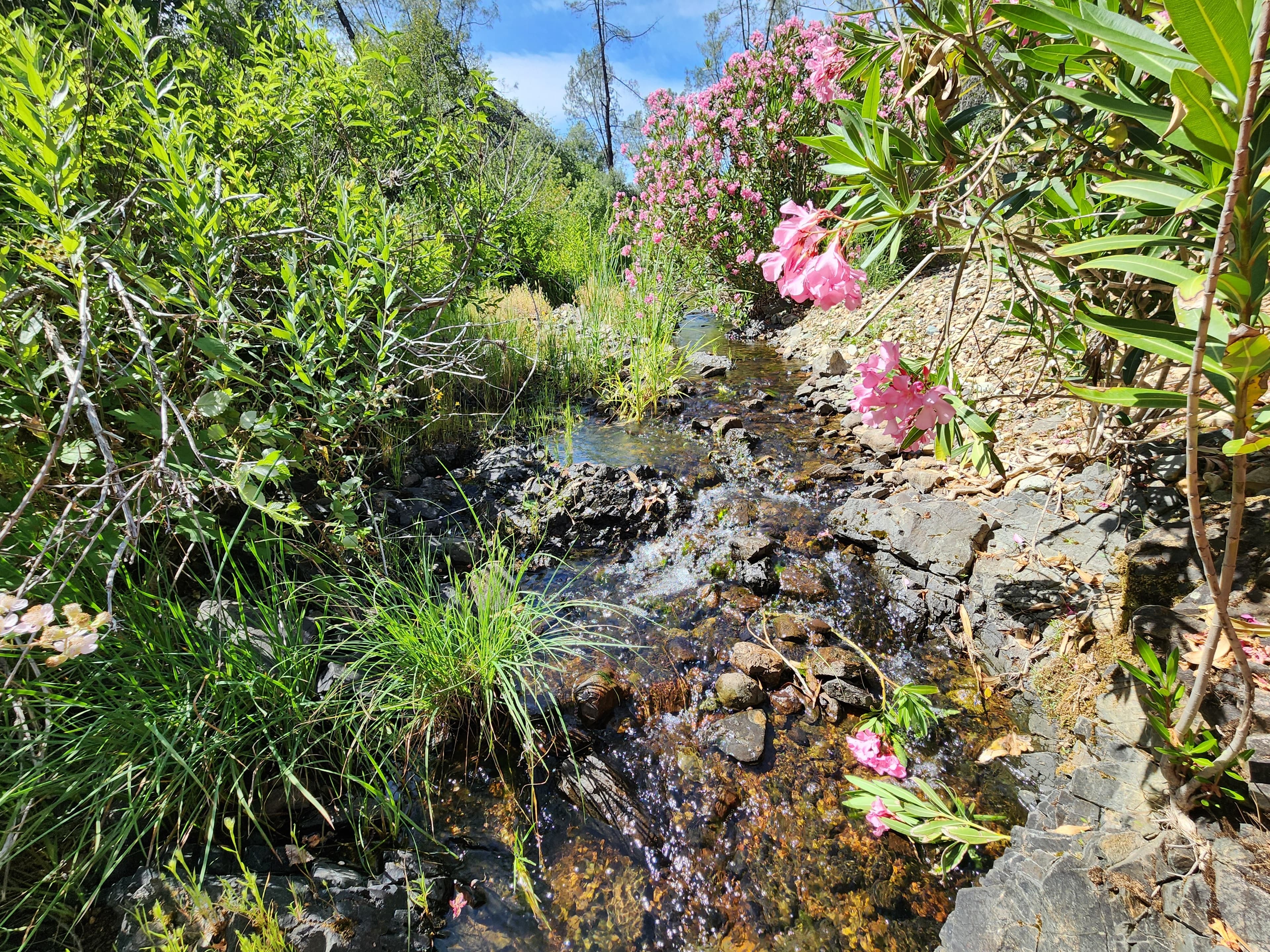 Churn Creek Placer — Placer gold mining claim for sale in Shasta, CA thumbnail 4