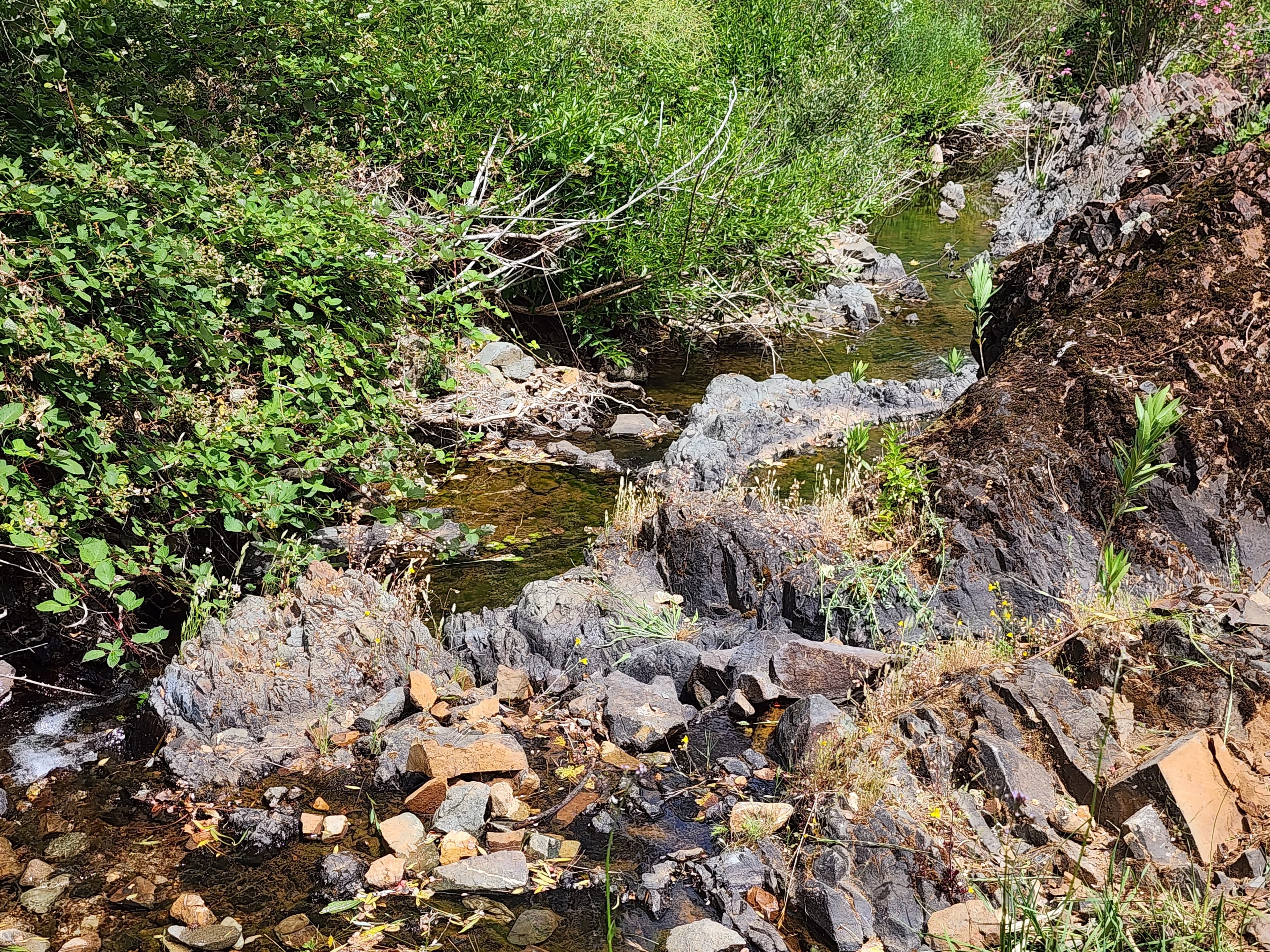Churn Creek Placer — Placer gold mining claim for sale in Shasta, CA thumbnail 5