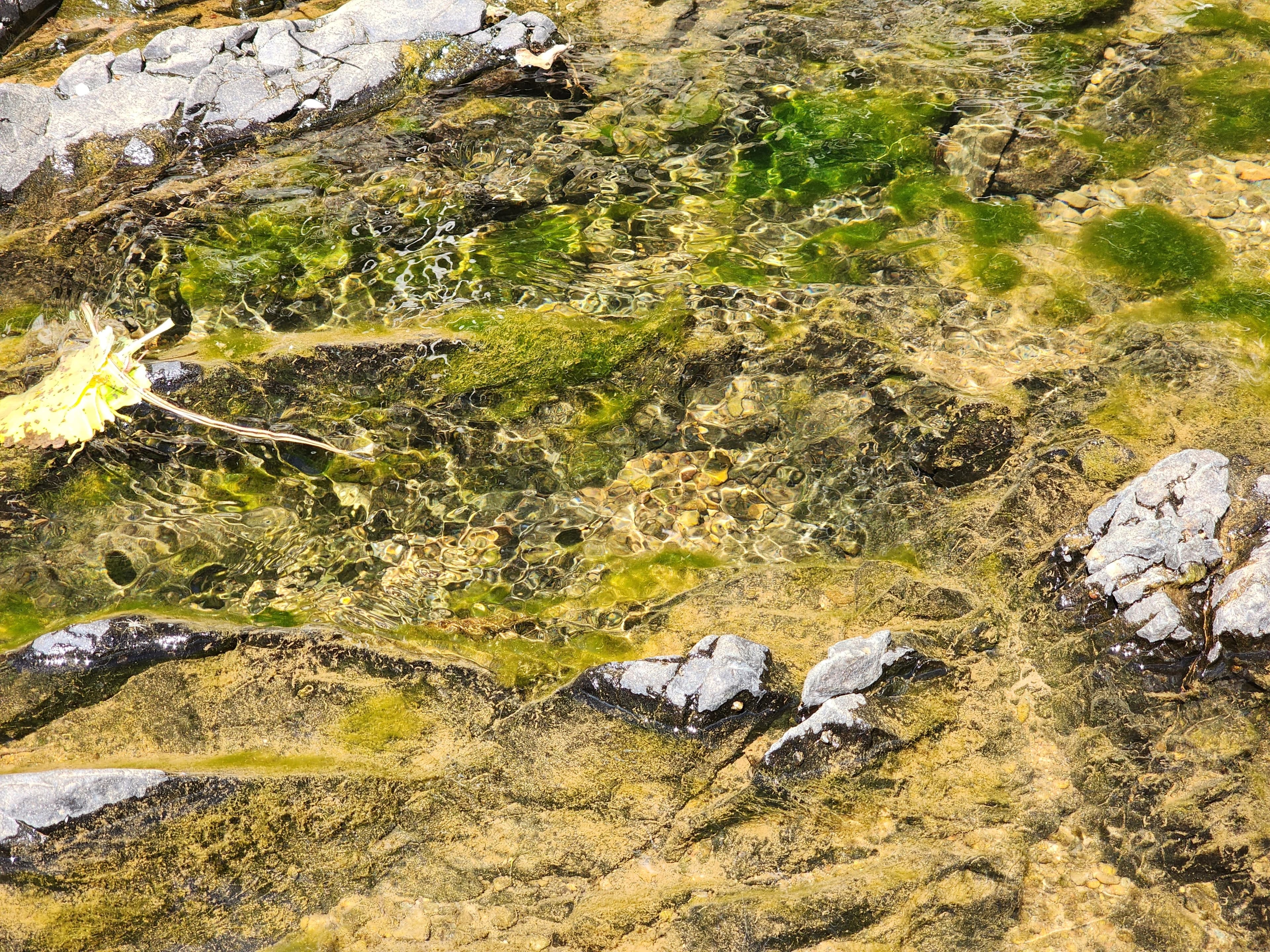 Churn Creek Placer — Placer gold mining claim for sale in Shasta, CA thumbnail 7