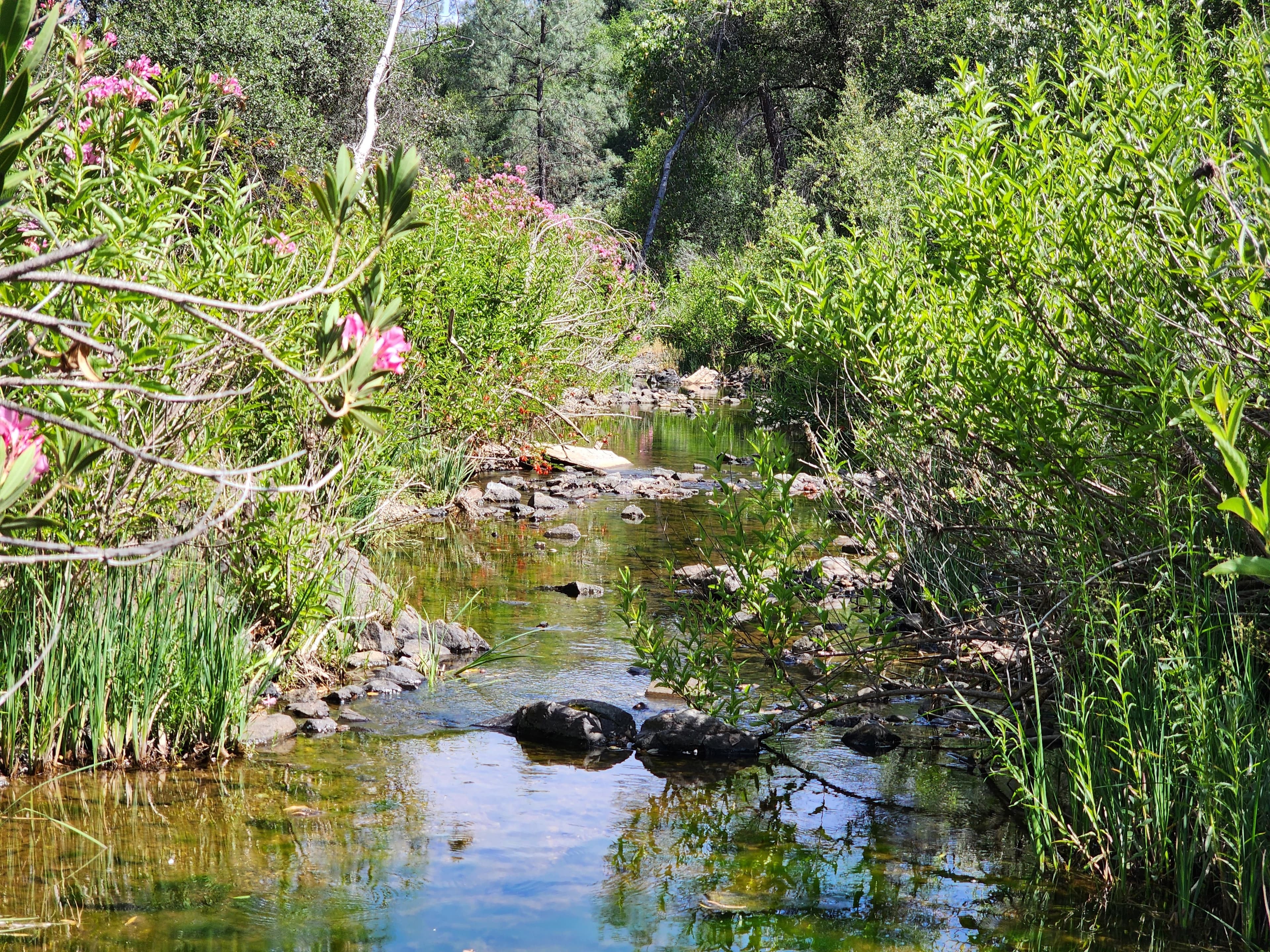 Churn Creek Placer — Placer gold mining claim for sale in Shasta, CA thumbnail 9