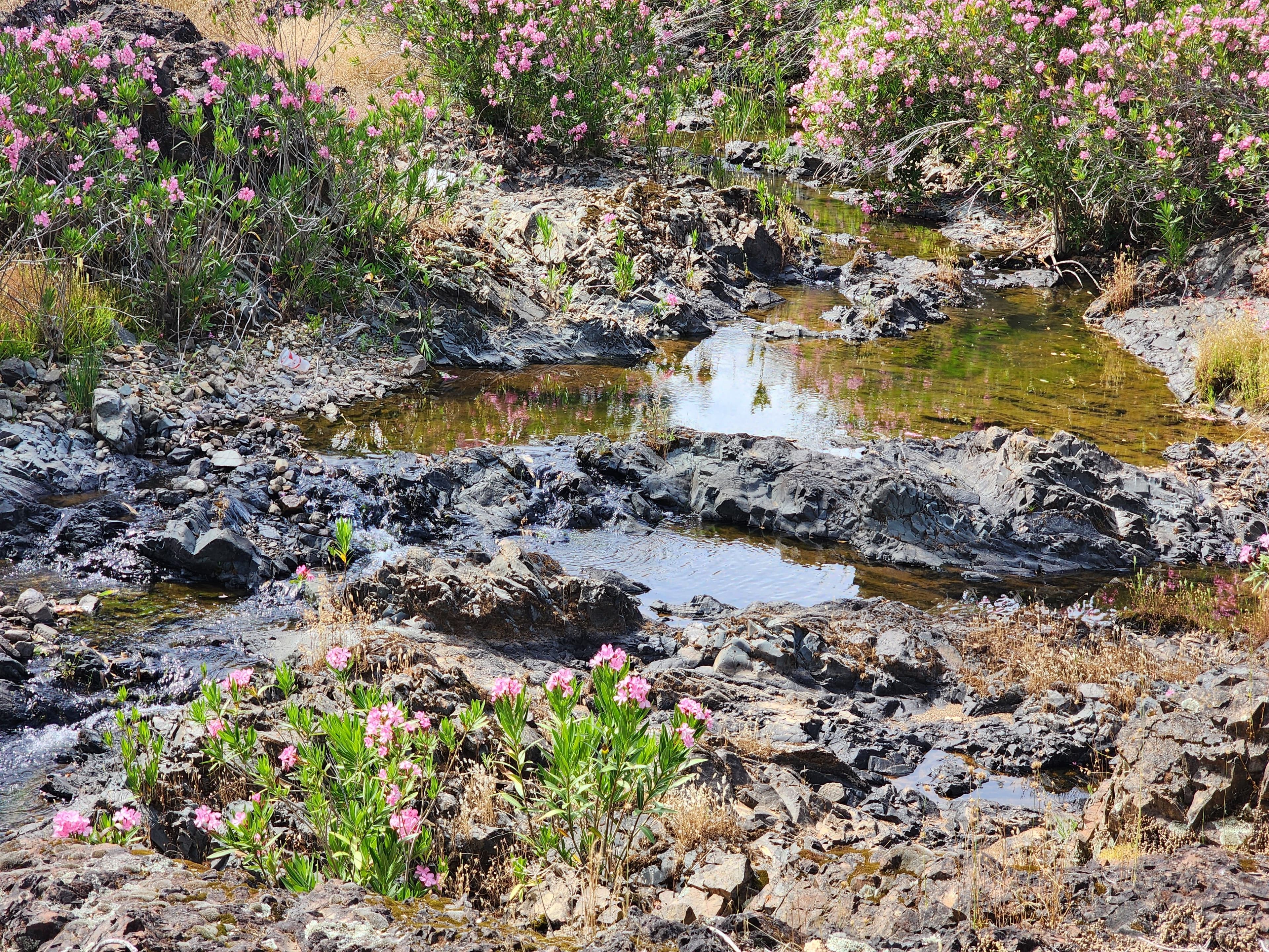Churn Creek Placer — Placer gold mining claim for sale in Shasta, CA thumbnail 12
