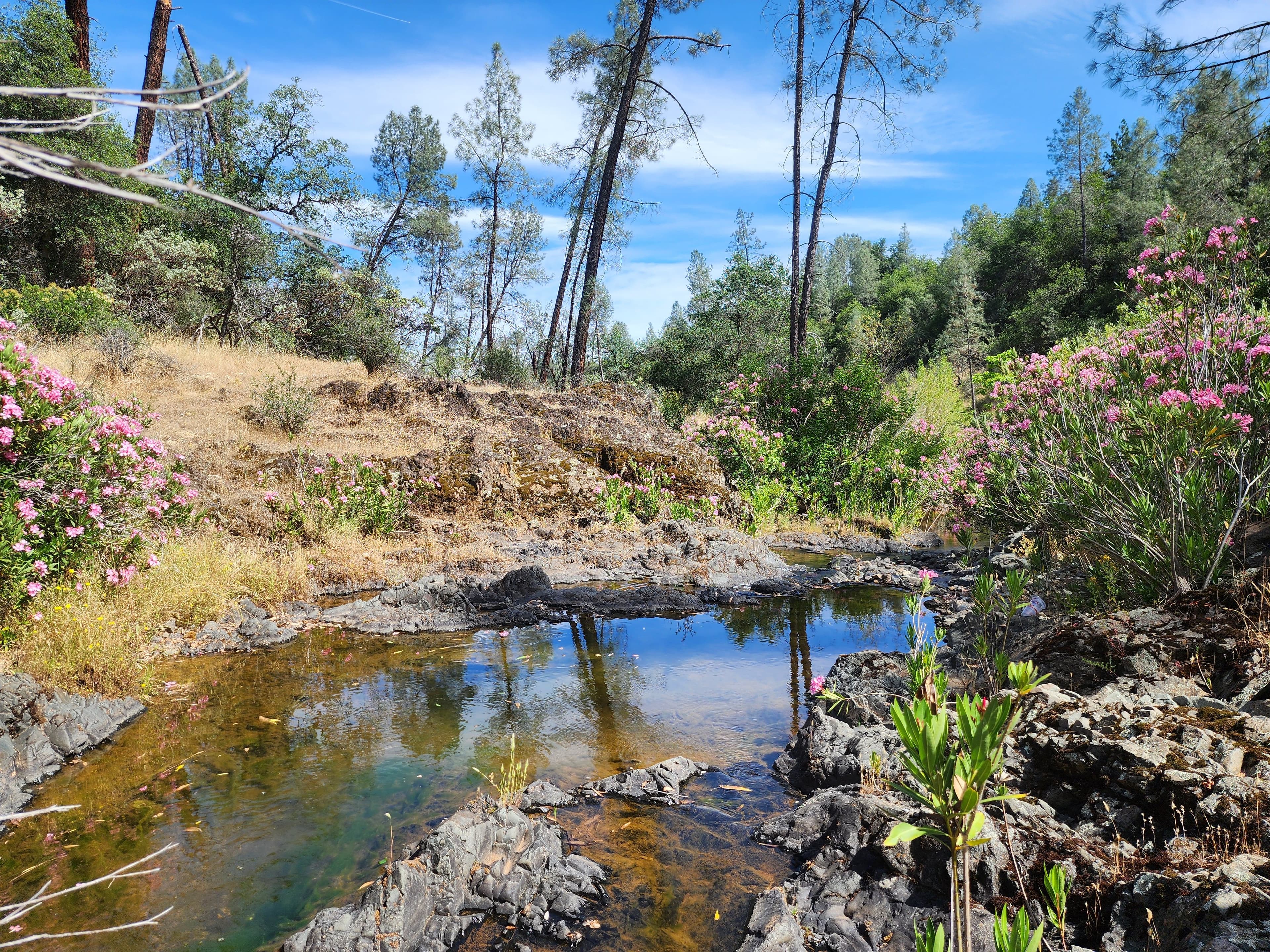 Churn Creek Placer — Placer gold claim, Shasta, CA