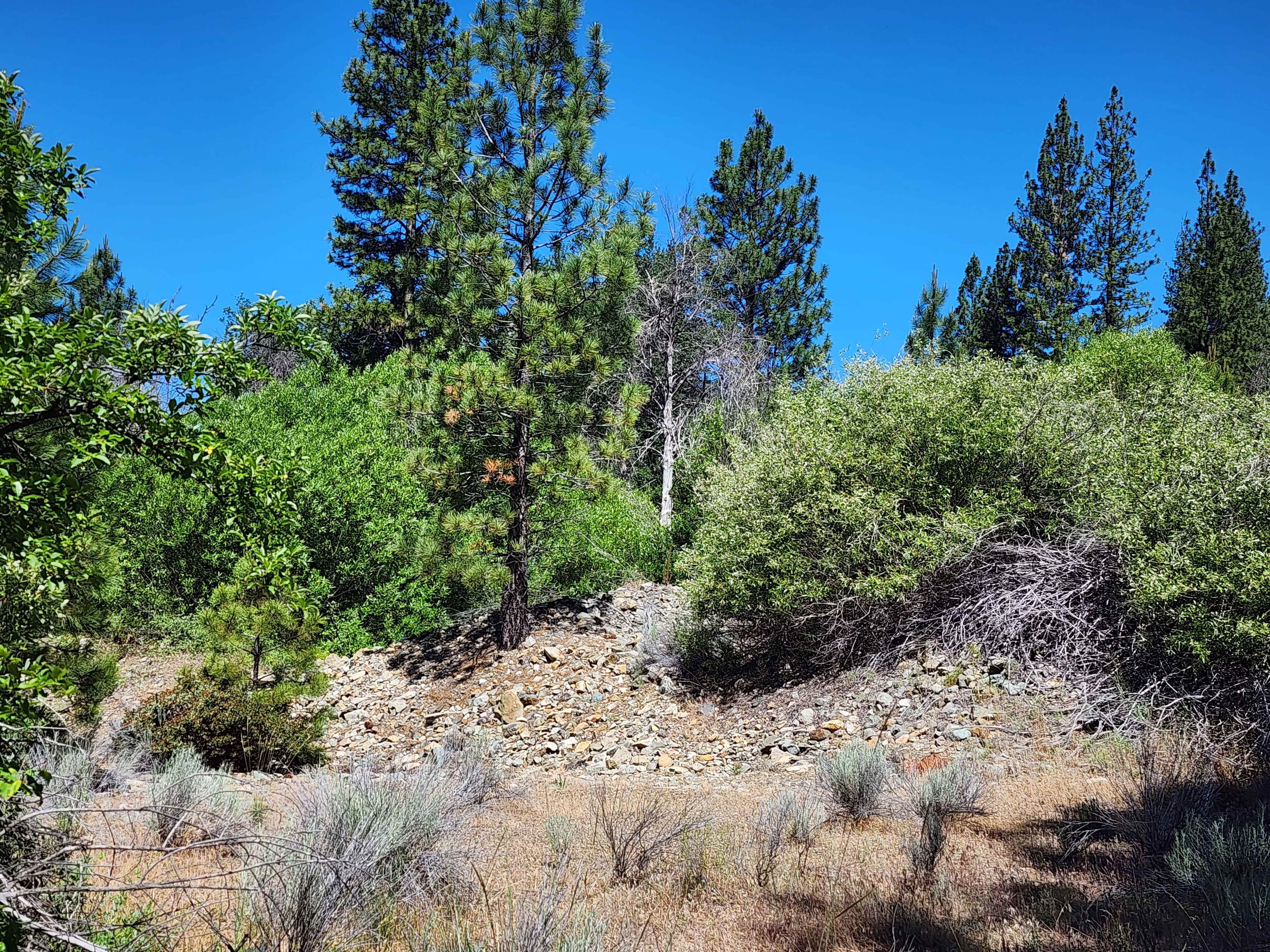 Kangaroo Creek — Placer gold claim, Siskiyou, CA
