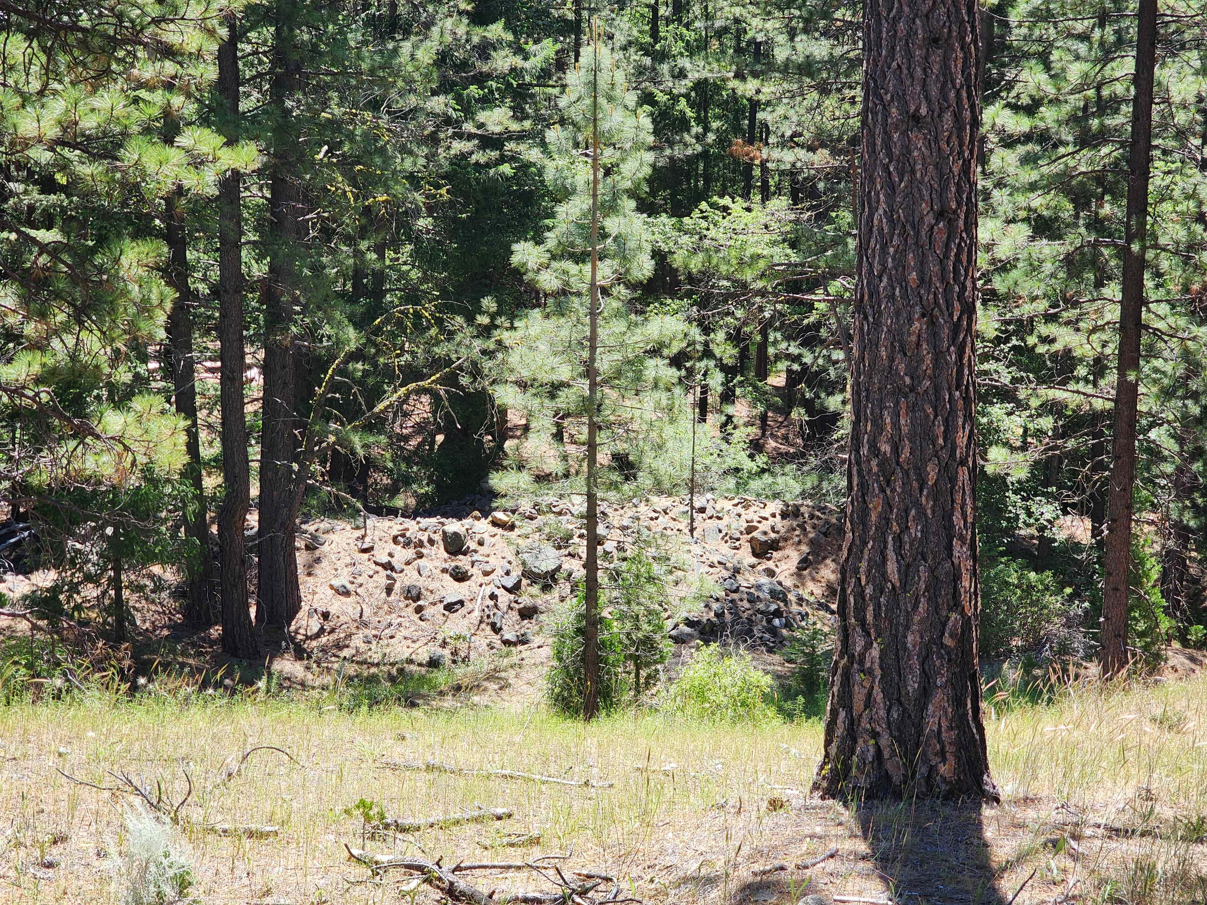Kangaroo Creek — Placer gold mining claim for sale in Siskiyou, CA thumbnail 7