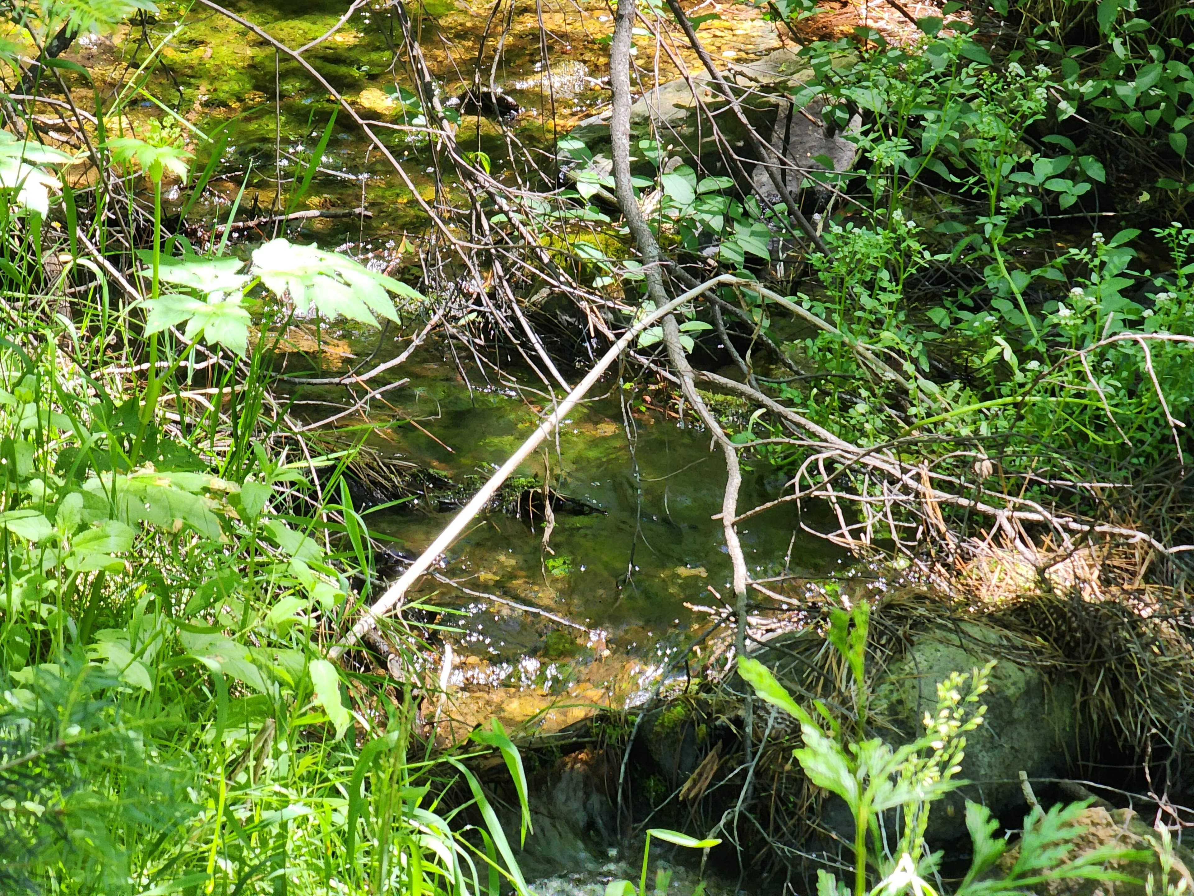 Kangaroo Creek — Placer gold mining claim for sale in Siskiyou, CA thumbnail 8