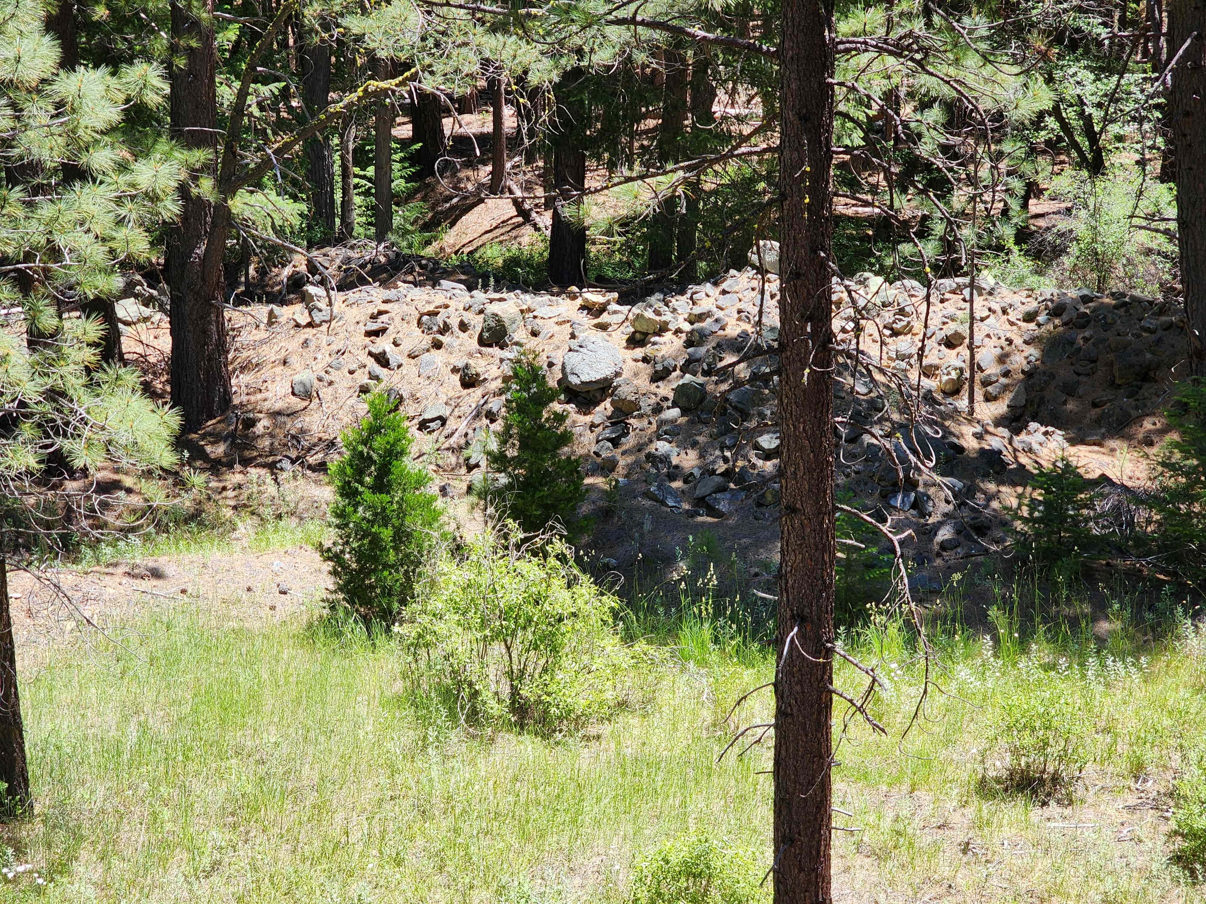 Kangaroo Creek — Placer gold mining claim for sale in Siskiyou, CA thumbnail 17