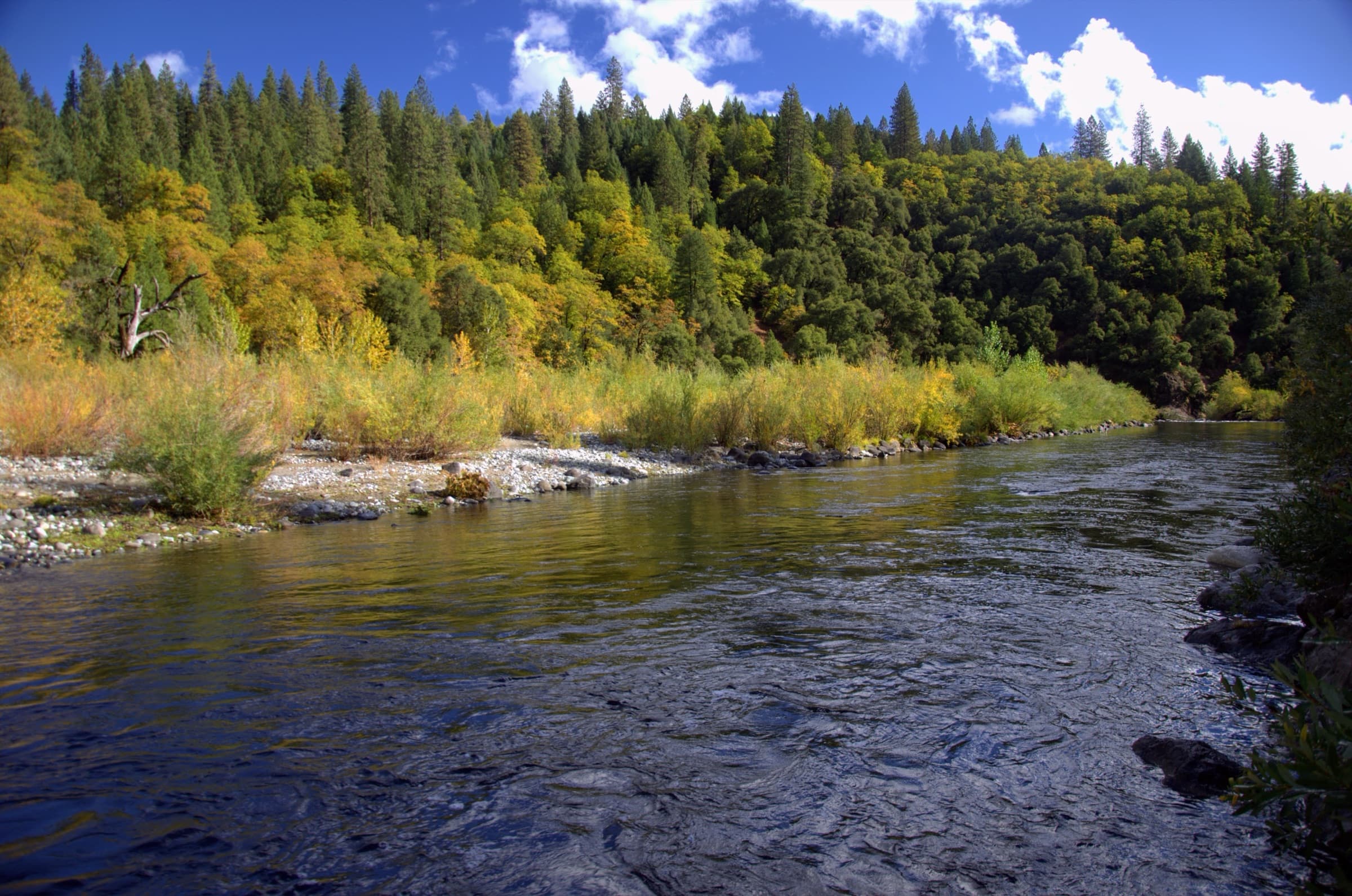 River running through Northern California gold country in autumn